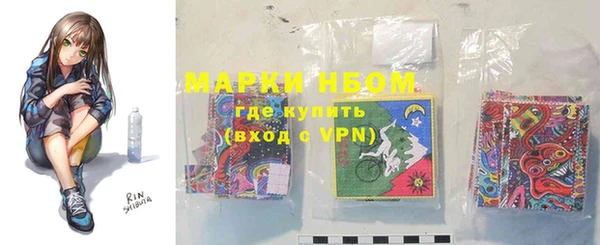 индика Балахна