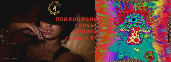 дмт Балабаново