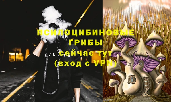 индика Балахна