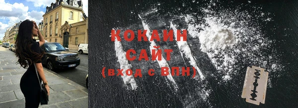 ПСИЛОЦИБИНОВЫЕ ГРИБЫ Осташков