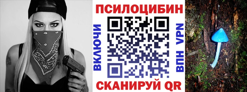 Галлюциногенные грибы Psilocybe  Вятские Поляны 